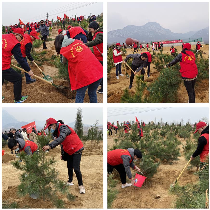 1616380633143812.jpg 植树.jpg