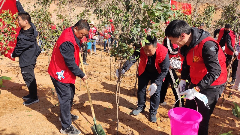 1678349263723794.jpg pp.jpg