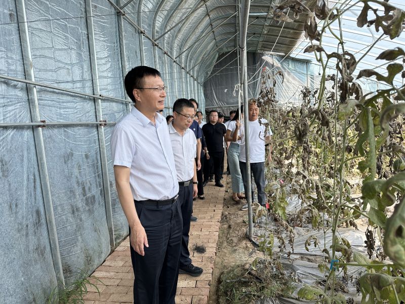 1719227934255565.jpg fileUpload.jpg