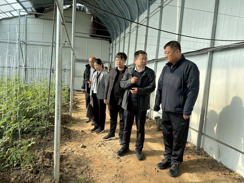 1731498955923505.png 图片3.png