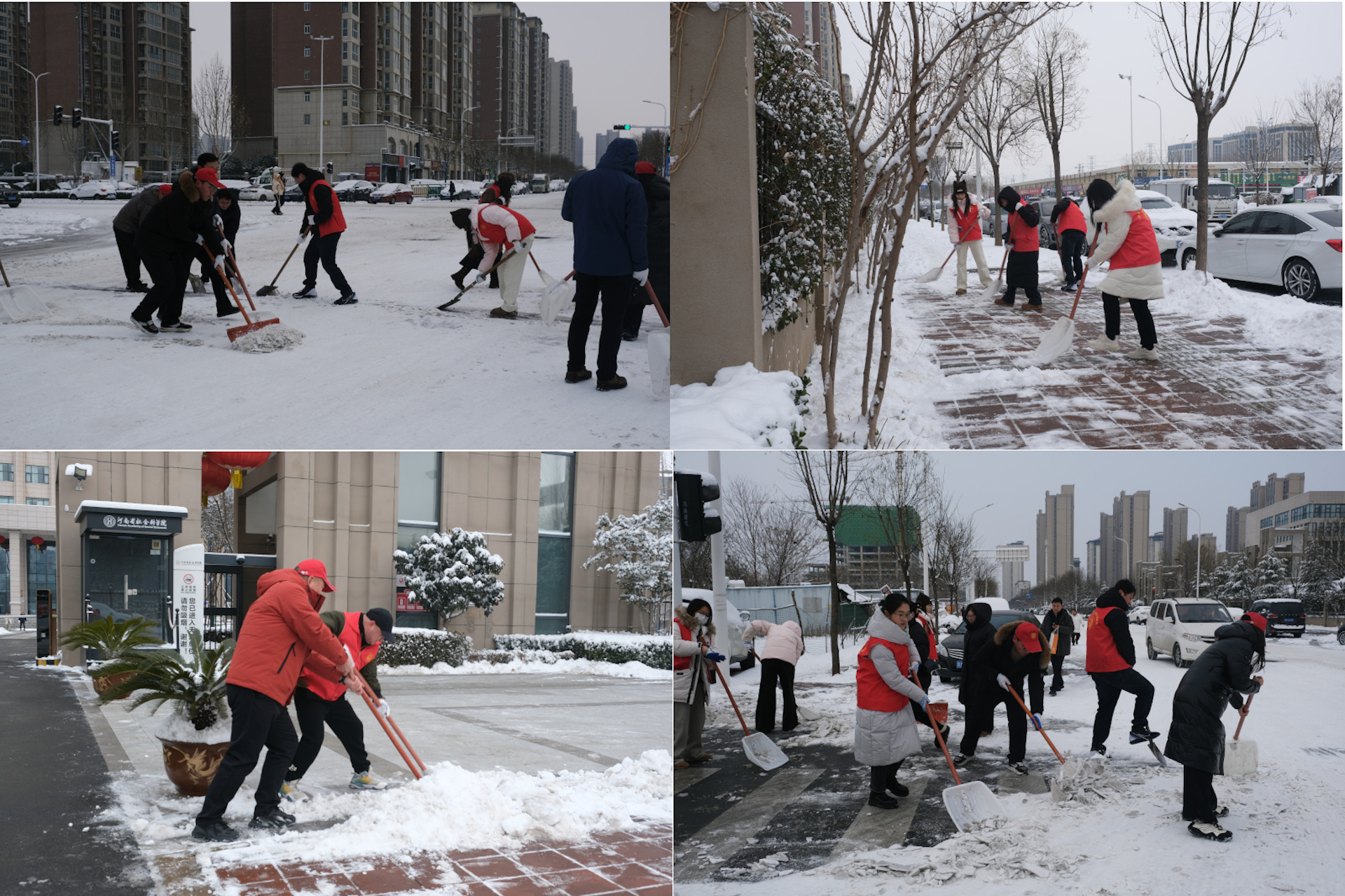 1769046298522577.jpg 除雪1.jpg